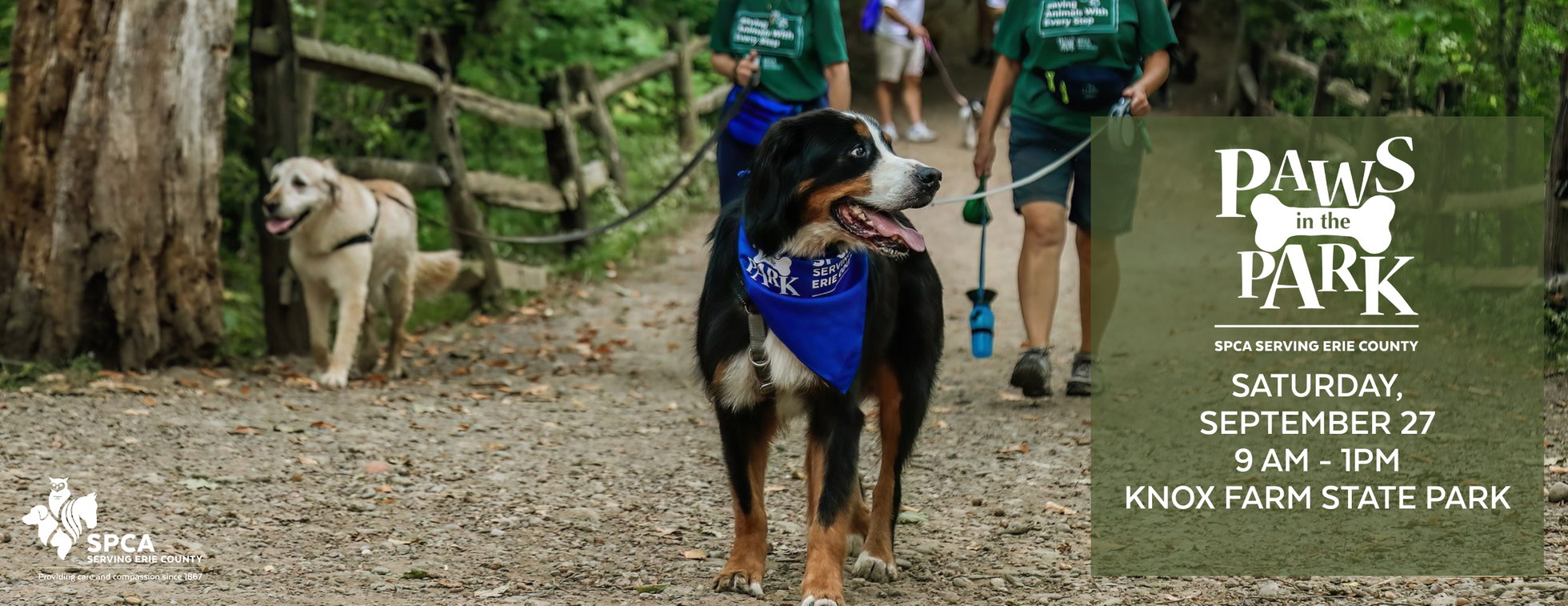Paws in the Park 2025