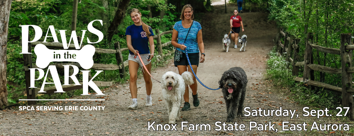 Paws in the Park 2025